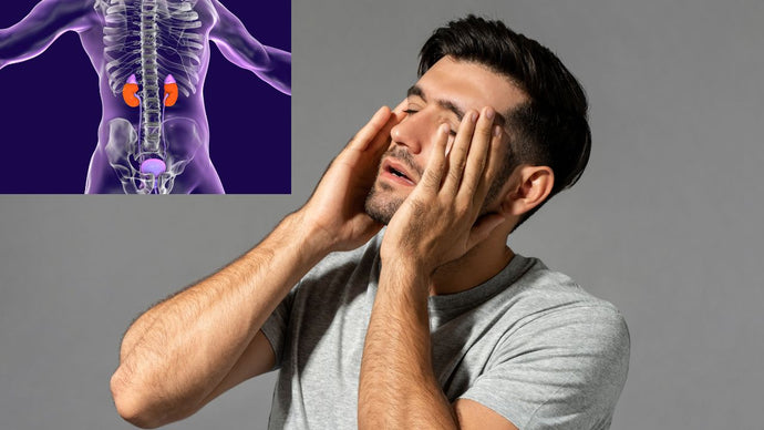 Was sind die ersten Anzeichen für Adrenal Fatigue?