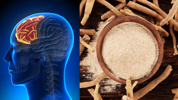 Ashwagandha: Das Trend-Superfood im Faktencheck - Yagcho DE