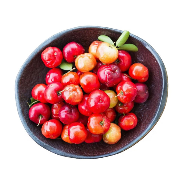 Acerola extract (Vitamin C)