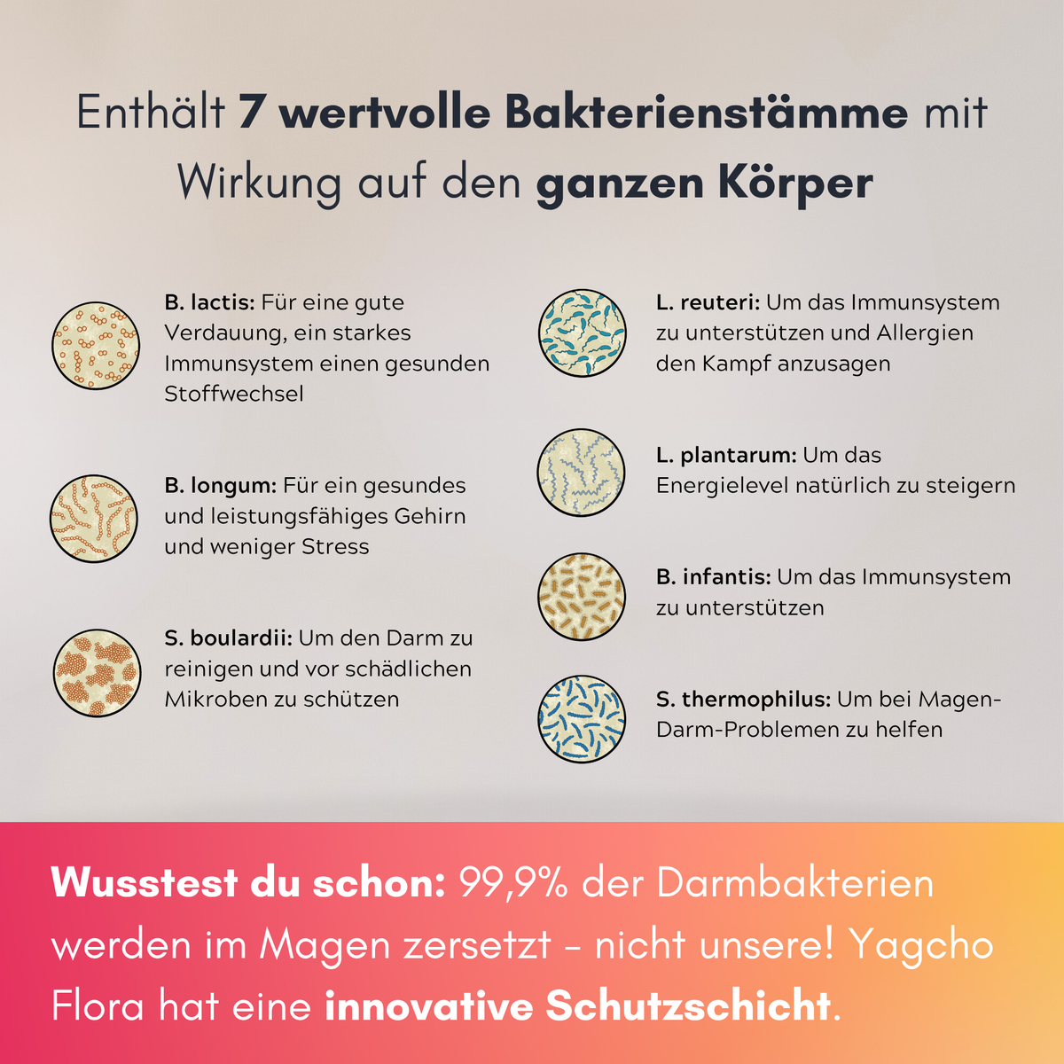 Gut flora complex