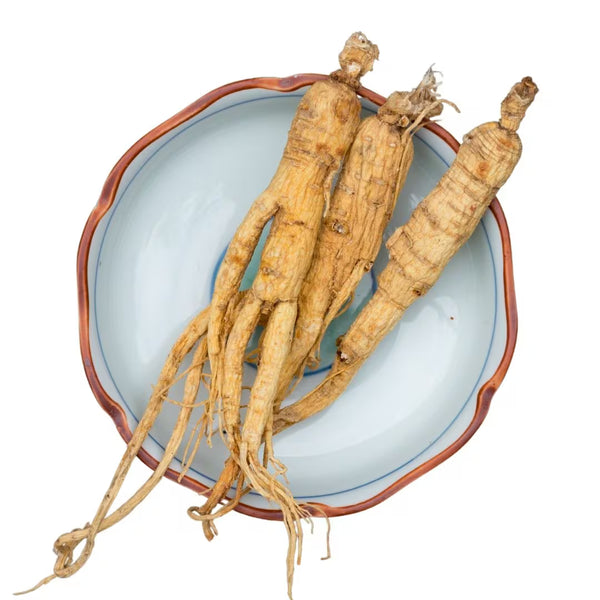 Ginseng