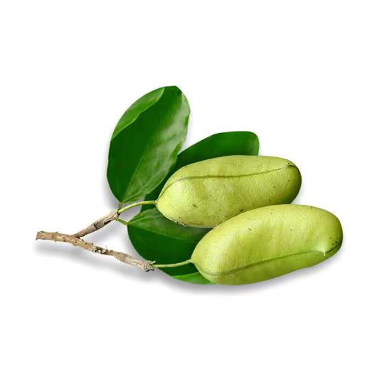 Griffonia Extract