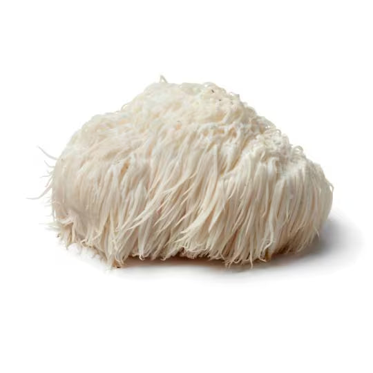 Lion's Mane