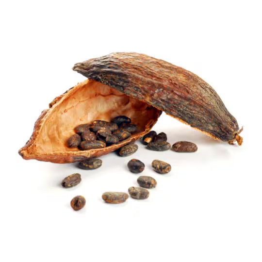 Cocoa (Organic)