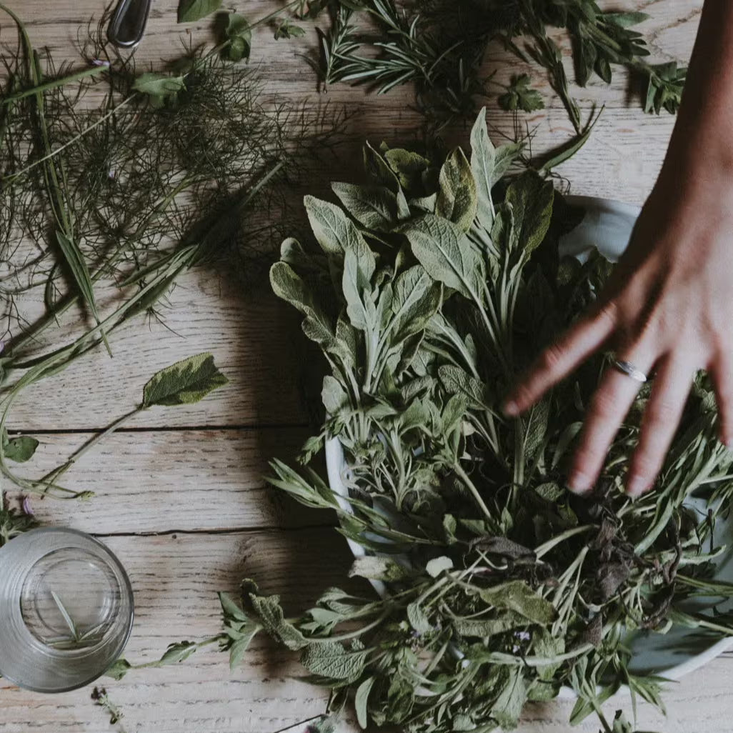 Herbs and roots on wooden table