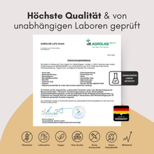 Lade das Bild in den Galerie-Viewer, Darmflora Komplex
