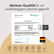 Lade das Bild in den Galerie-Viewer, Immun &amp; Energie Komplex
