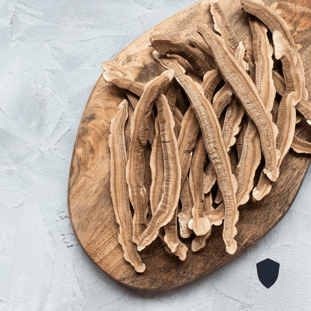 Reishi - yagcho